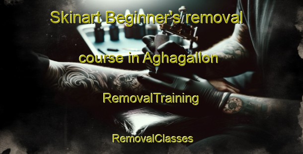 Skinart Beginner's removal course in Aghagallon | RemovalTraining | RemovalClasses | SkinartTraining-United Kingdom
