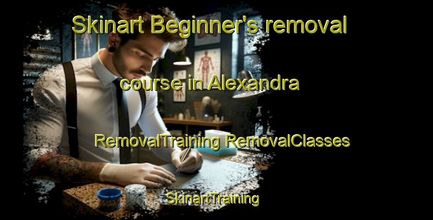 Skinart Beginner's removal course in Alexandra | #RemovalTraining #RemovalClasses #SkinartTraining-United Kingdom