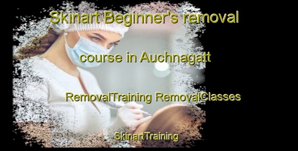 Skinart Beginner's removal course in Auchnagatt | #RemovalTraining #RemovalClasses #SkinartTraining-United Kingdom