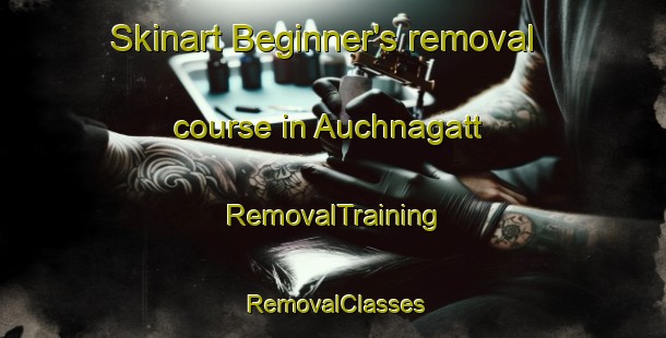 Skinart Beginner's removal course in Auchnagatt | RemovalTraining | RemovalClasses | SkinartTraining-United Kingdom