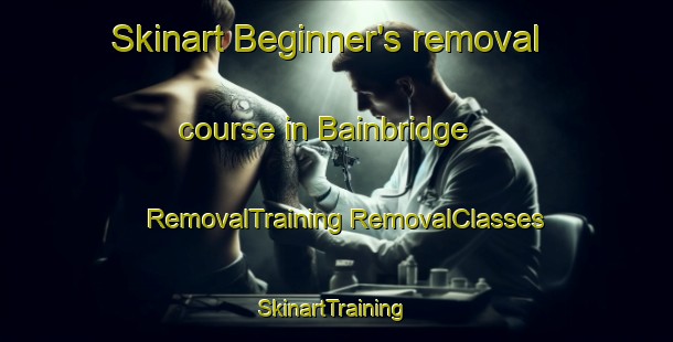 Skinart Beginner's removal course in Bainbridge | #RemovalTraining #RemovalClasses #SkinartTraining-United Kingdom