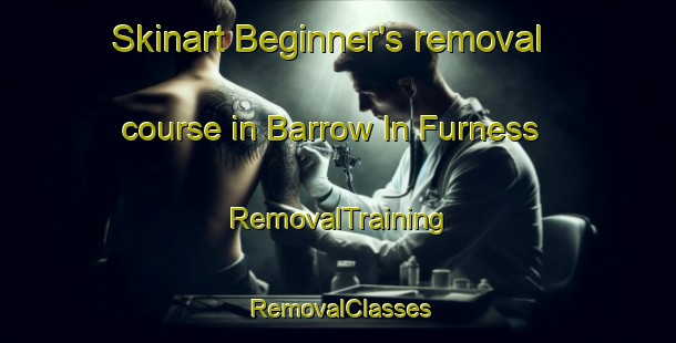 Skinart Beginner's removal course in Barrow In Furness | RemovalTraining | RemovalClasses | SkinartTraining-United Kingdom