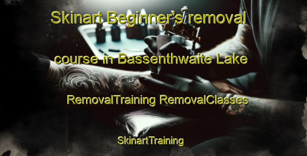 Skinart Beginner's removal course in Bassenthwaite Lake | #RemovalTraining #RemovalClasses #SkinartTraining-United Kingdom