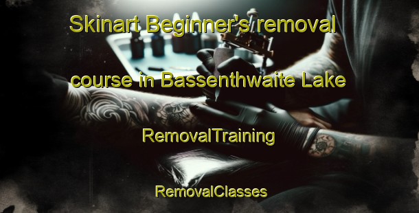 Skinart Beginner's removal course in Bassenthwaite Lake | RemovalTraining | RemovalClasses | SkinartTraining-United Kingdom