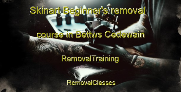 Skinart Beginner's removal course in Bettws Cedewain | RemovalTraining | RemovalClasses | SkinartTraining-United Kingdom