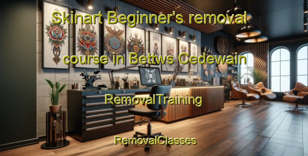 Skinart Beginner's removal course in Bettws Cedewain | RemovalTraining | RemovalClasses | SkinartTraining-United Kingdom