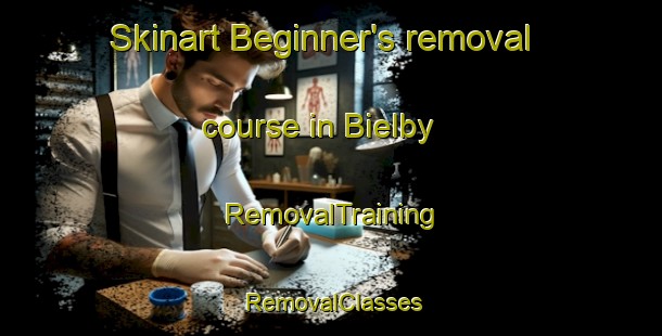 Skinart Beginner's removal course in Bielby | RemovalTraining | RemovalClasses | SkinartTraining-United Kingdom