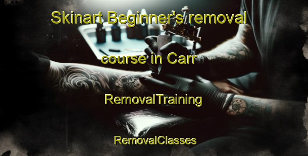Skinart Beginner's removal course in Carr | RemovalTraining | RemovalClasses | SkinartTraining-United Kingdom