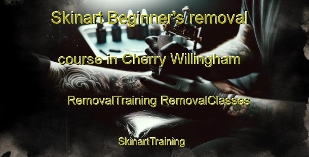 Skinart Beginner's removal course in Cherry Willingham | #RemovalTraining #RemovalClasses #SkinartTraining-United Kingdom