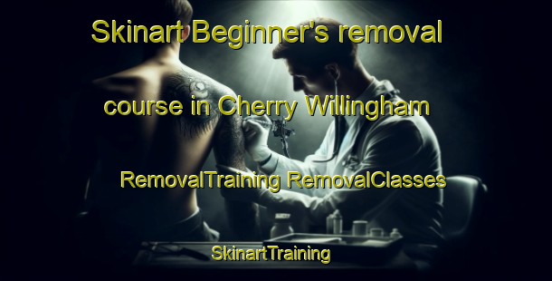 Skinart Beginner's removal course in Cherry Willingham | #RemovalTraining #RemovalClasses #SkinartTraining-United Kingdom