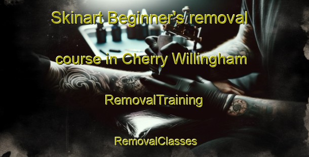 Skinart Beginner's removal course in Cherry Willingham | RemovalTraining | RemovalClasses | SkinartTraining-United Kingdom