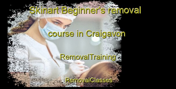 Skinart Beginner's removal course in Craigavon | RemovalTraining | RemovalClasses | SkinartTraining-United Kingdom