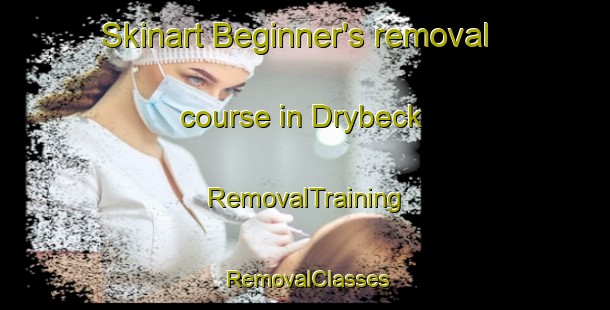 Skinart Beginner's removal course in Drybeck | RemovalTraining | RemovalClasses | SkinartTraining-United Kingdom