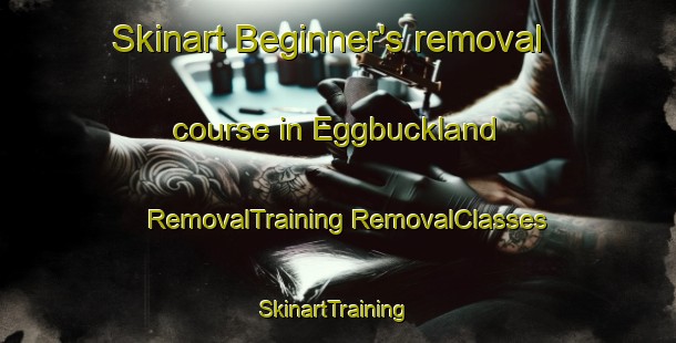 Skinart Beginner's removal course in Eggbuckland | #RemovalTraining #RemovalClasses #SkinartTraining-United Kingdom