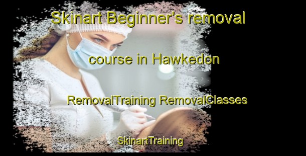 Skinart Beginner's removal course in Hawkedon | #RemovalTraining #RemovalClasses #SkinartTraining-United Kingdom