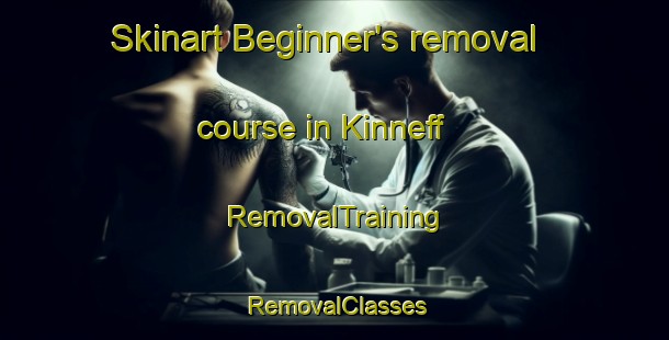 Skinart Beginner's removal course in Kinneff | RemovalTraining | RemovalClasses | SkinartTraining-United Kingdom