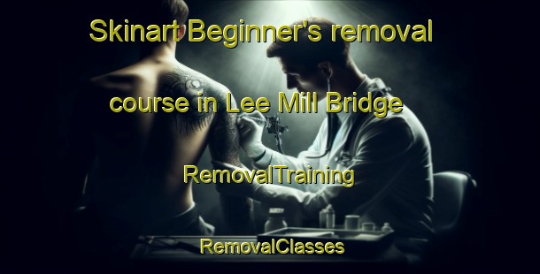 Skinart Beginner's removal course in Lee Mill Bridge | RemovalTraining | RemovalClasses | SkinartTraining-United Kingdom