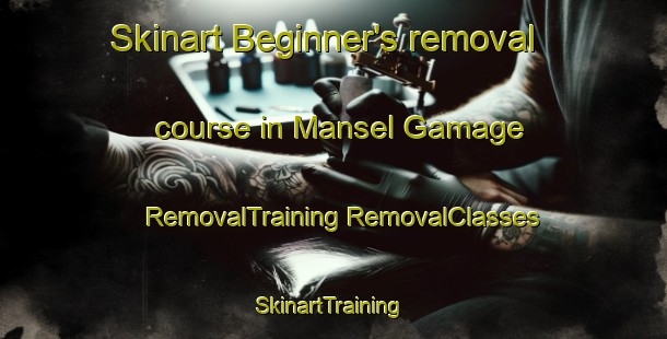 Skinart Beginner's removal course in Mansel Gamage | #RemovalTraining #RemovalClasses #SkinartTraining-United Kingdom