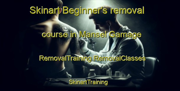 Skinart Beginner's removal course in Mansel Gamage | #RemovalTraining #RemovalClasses #SkinartTraining-United Kingdom