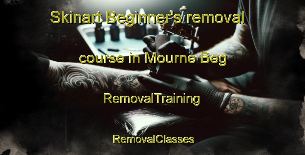 Skinart Beginner's removal course in Mourne Beg | RemovalTraining | RemovalClasses | SkinartTraining-United Kingdom