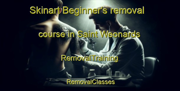 Skinart Beginner's removal course in Saint Weonards | RemovalTraining | RemovalClasses | SkinartTraining-United Kingdom