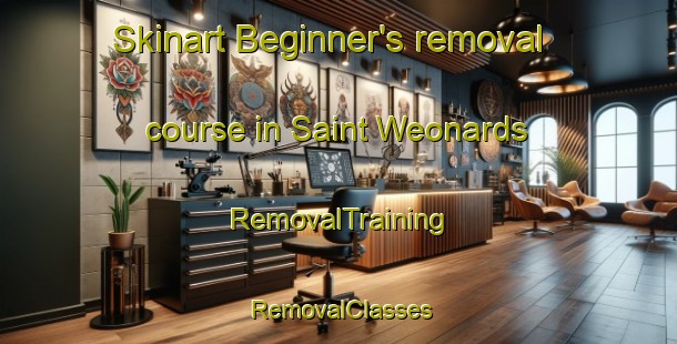 Skinart Beginner's removal course in Saint Weonards | RemovalTraining | RemovalClasses | SkinartTraining-United Kingdom