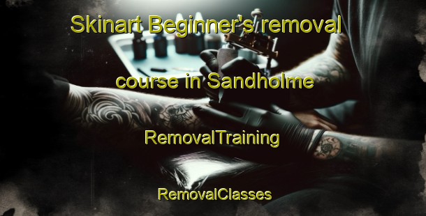 Skinart Beginner's removal course in Sandholme | RemovalTraining | RemovalClasses | SkinartTraining-United Kingdom