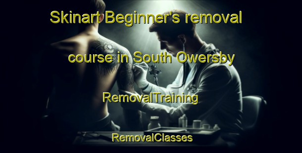 Skinart Beginner's removal course in South Owersby | RemovalTraining | RemovalClasses | SkinartTraining-United Kingdom