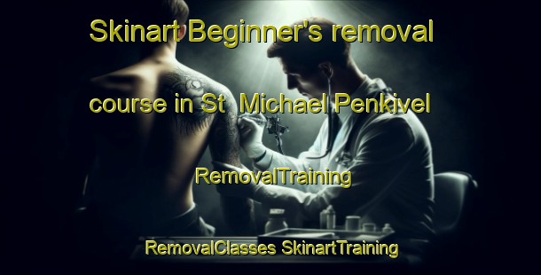 Skinart Beginner's removal course in St  Michael Penkivel | #RemovalTraining #RemovalClasses #SkinartTraining-United Kingdom