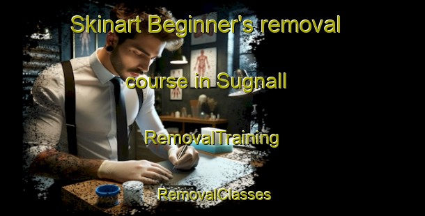 Skinart Beginner's removal course in Sugnall | RemovalTraining | RemovalClasses | SkinartTraining-United Kingdom