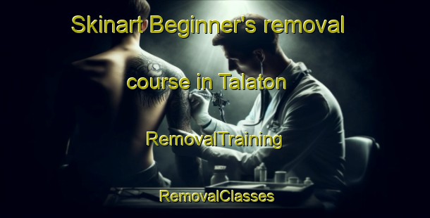 Skinart Beginner's removal course in Talaton | RemovalTraining | RemovalClasses | SkinartTraining-United Kingdom