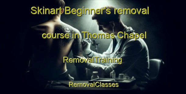 Skinart Beginner's removal course in Thomas Chapel | RemovalTraining | RemovalClasses | SkinartTraining-United Kingdom