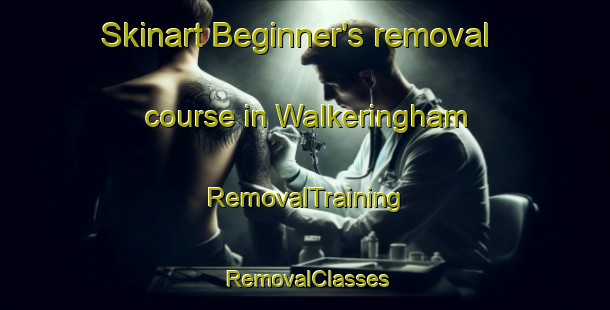 Skinart Beginner's removal course in Walkeringham | RemovalTraining | RemovalClasses | SkinartTraining-United Kingdom