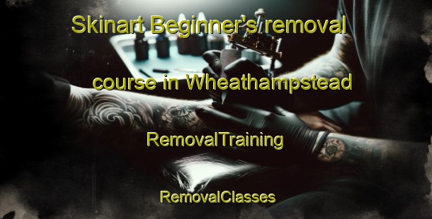 Skinart Beginner's removal course in Wheathampstead | RemovalTraining | RemovalClasses | SkinartTraining-United Kingdom
