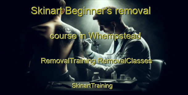 Skinart Beginner's removal course in Whempstead | #RemovalTraining #RemovalClasses #SkinartTraining-United Kingdom