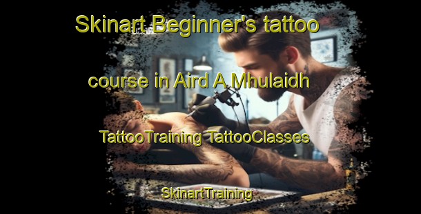 Skinart Beginner's tattoo course in Aird A Mhulaidh | #TattooTraining #TattooClasses #SkinartTraining-United Kingdom