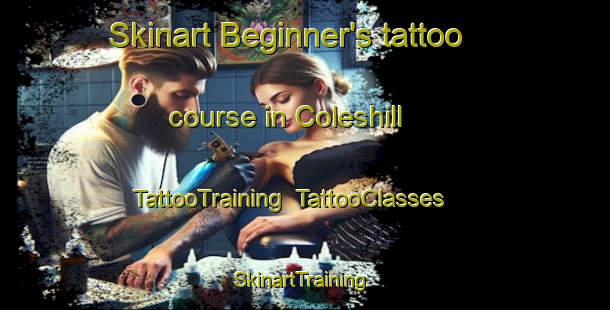 Skinart Beginner's tattoo course in Coleshill | TattooTraining | TattooClasses | SkinartTraining-United Kingdom