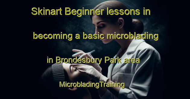Skinart Beginner lessons in becoming a basic microblading in Brondesbury Park area | MicrobladingTraining | MicrobladingClasses | SkinartTraining-United Kingdom