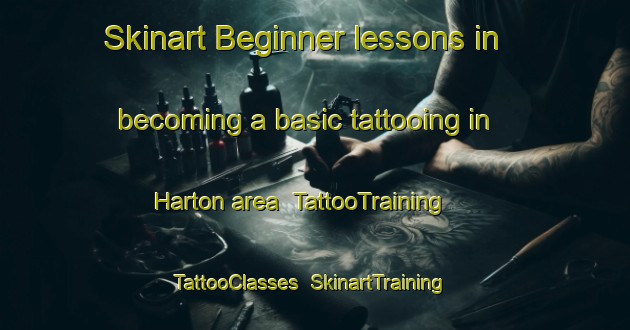 Skinart Beginner lessons in becoming a basic tattooing in Harton area | TattooTraining | TattooClasses | SkinartTraining-United Kingdom