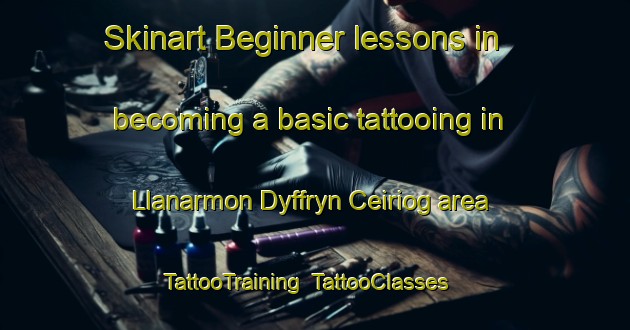Skinart Beginner lessons in becoming a basic tattooing in Llanarmon Dyffryn Ceiriog area | TattooTraining | TattooClasses | SkinartTraining-United Kingdom