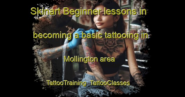 Skinart Beginner lessons in becoming a basic tattooing in Mollington area | TattooTraining | TattooClasses | SkinartTraining-United Kingdom