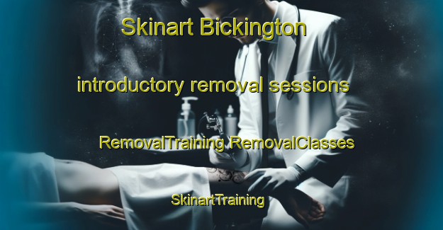 Skinart Bickington introductory removal sessions | #RemovalTraining #RemovalClasses #SkinartTraining-United Kingdom