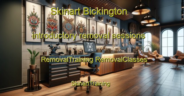 Skinart Bickington introductory removal sessions | #RemovalTraining #RemovalClasses #SkinartTraining-United Kingdom