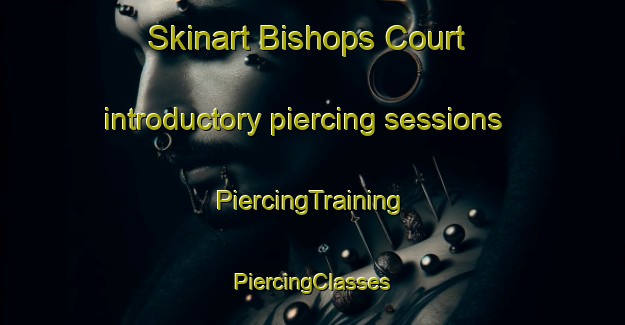 Skinart Bishops Court introductory piercing sessions | #PiercingTraining #PiercingClasses #SkinartTraining-United Kingdom