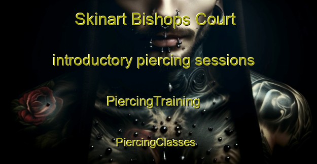 Skinart Bishops Court introductory piercing sessions | PiercingTraining | PiercingClasses | SkinartTraining-United Kingdom