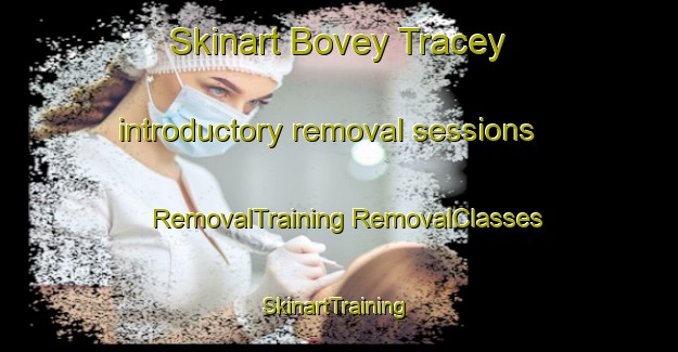 Skinart Bovey Tracey introductory removal sessions | #RemovalTraining #RemovalClasses #SkinartTraining-United Kingdom