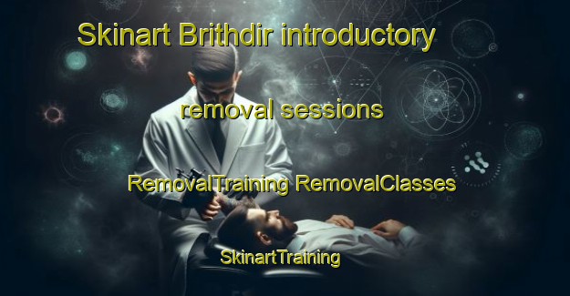 Skinart Brithdir introductory removal sessions | #RemovalTraining #RemovalClasses #SkinartTraining-United Kingdom