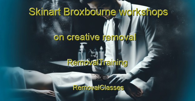 Skinart Broxbourne workshops on creative removal | RemovalTraining | RemovalClasses | SkinartTraining-United Kingdom