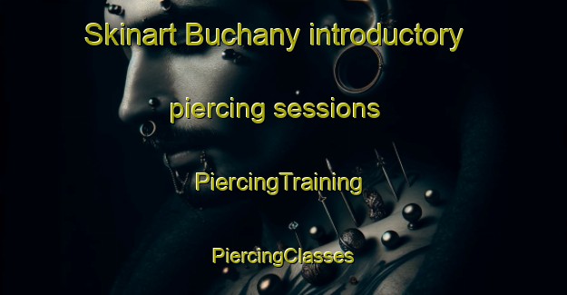 Skinart Buchany introductory piercing sessions | #PiercingTraining #PiercingClasses #SkinartTraining-United Kingdom