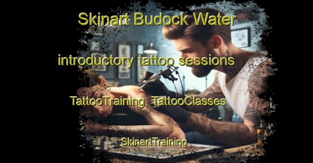 Skinart Budock Water introductory tattoo sessions | TattooTraining | TattooClasses | SkinartTraining-United Kingdom